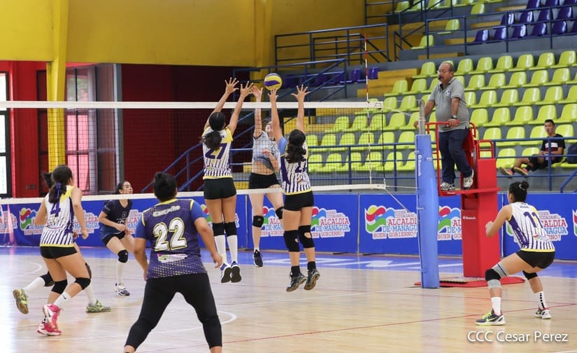 voleibol